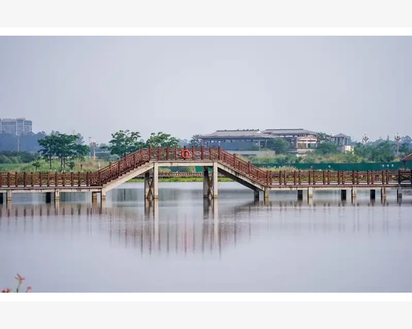 气血不足是如何引发贫血的？中医带你了解身体养血之道