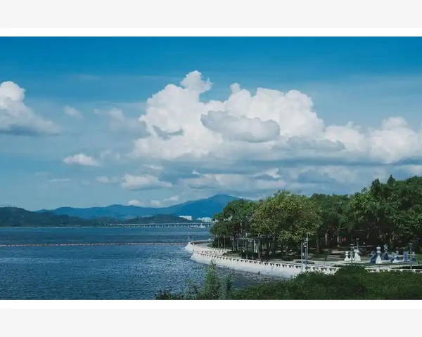 刮痧的神奇疗效：排湿气的有效方式？