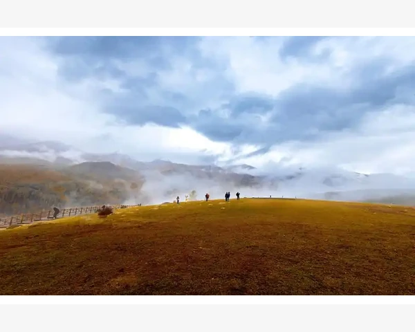 中医药中哪些药材可以补血补气？